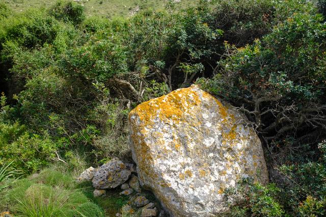 Port de Pollença (#6577)