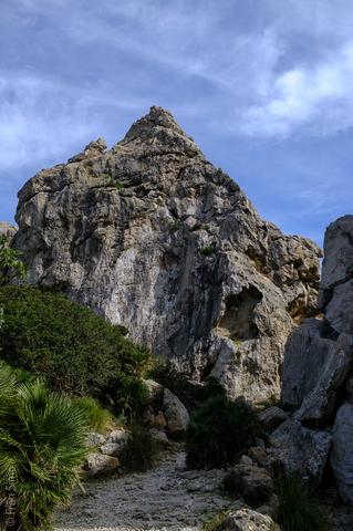 Port de Pollença (#6580)