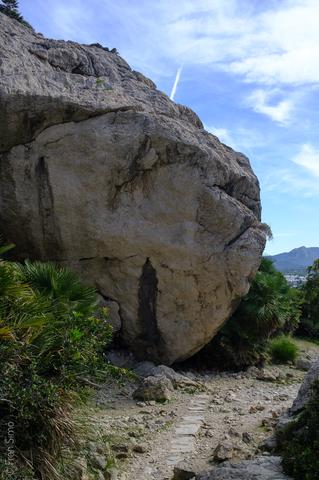 Port de Pollença (#6581)