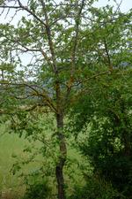 Bunyola (#6588), Tue 02 December 2025