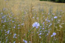 Orient (#6589), Wed 03 December 2025