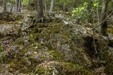 Orient (#6590), Thu 04 December 2025