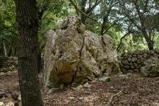 Orient (#6592), Sat 06 December 2025