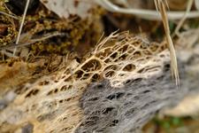 Illes Balears (#6597)