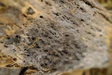 Illes Balears (#6598)