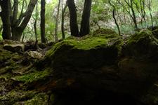 Orient (#6616), Tue 30 December 2025