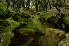 Orient (#6617), Wed 31 December 2025