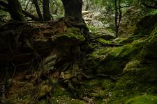 Orient (#6620), Sat 03 January 2026