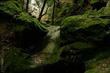 Orient (#6622), Mon 05 January 2026