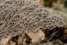 Felanitx (#6653), Thu 05 February 2026