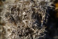 Can Picafort (#6664), Mon 16 February 2026