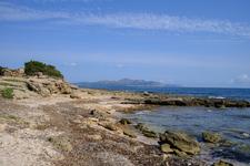 Santa Margarita (#6674)