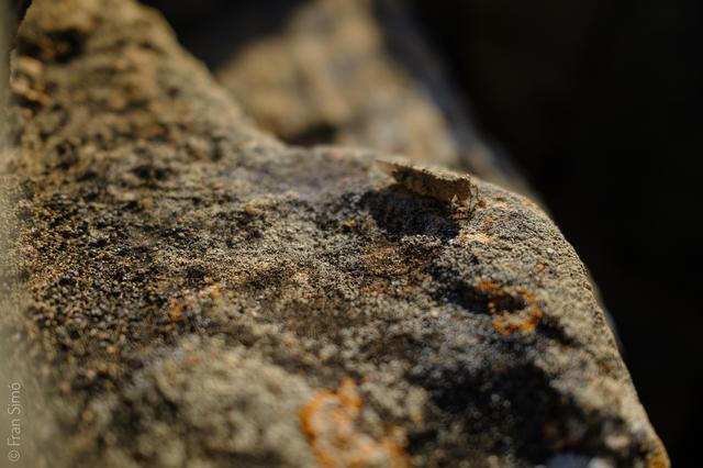 Illes Balears (#6670)