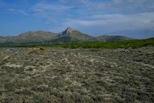 Son Serra de Marina (#6686), Tue 10 March 2026