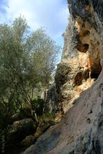 Cales de Mallorca (#6689)