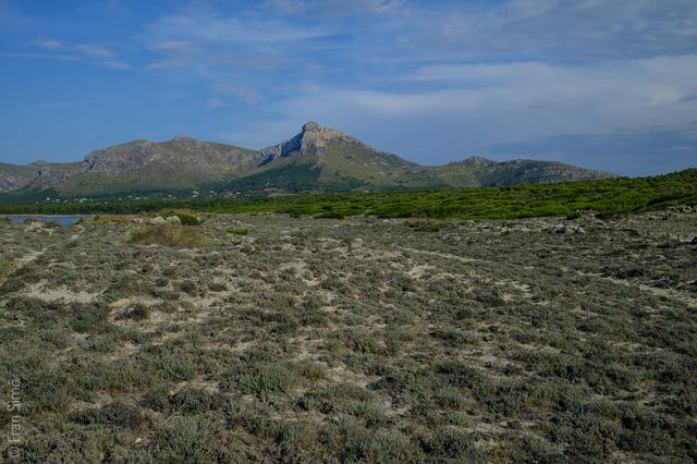 Son Serra de Marina (#6686)