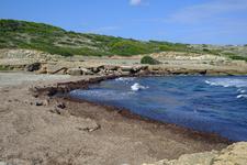 Cala Mesquida (#6692)