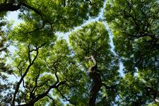 Buenos Aires (#6718), Sat 11 April 2026