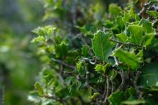 Illes Balears (#6708), Wed 01 April 2026