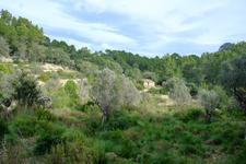 Illes Balears (#6711)