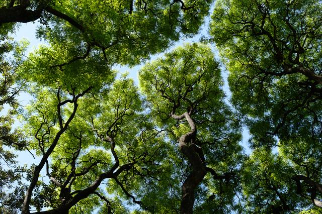 Buenos Aires (#6718)