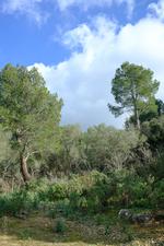 Illes Balears (#6760), Sat 23 May 2026