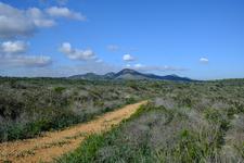 Cales de Mallorca (#6763), Tue 26 May 2026
