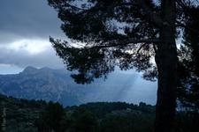 Fornalutx (#6769), Mon 01 June 2026