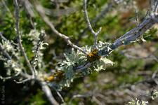 Llucmajor (#6781), Sat 13 June 2026