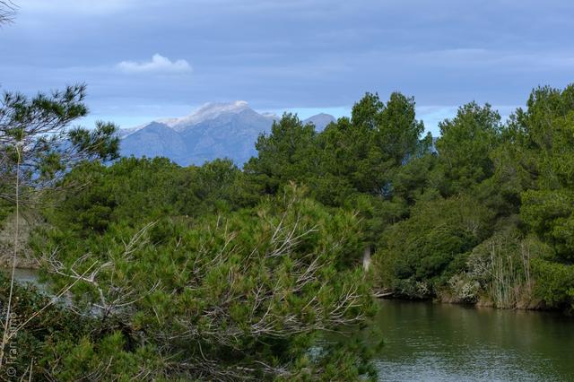 Platja de Muro (#6788)