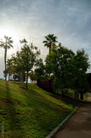 Palma de Mallorca (#6889)