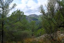 Mancor de la Vall (#6904)