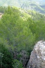 Mancor de la Vall (#6906)