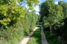 Selva (#6914)