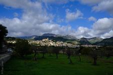 Selva (#6917)